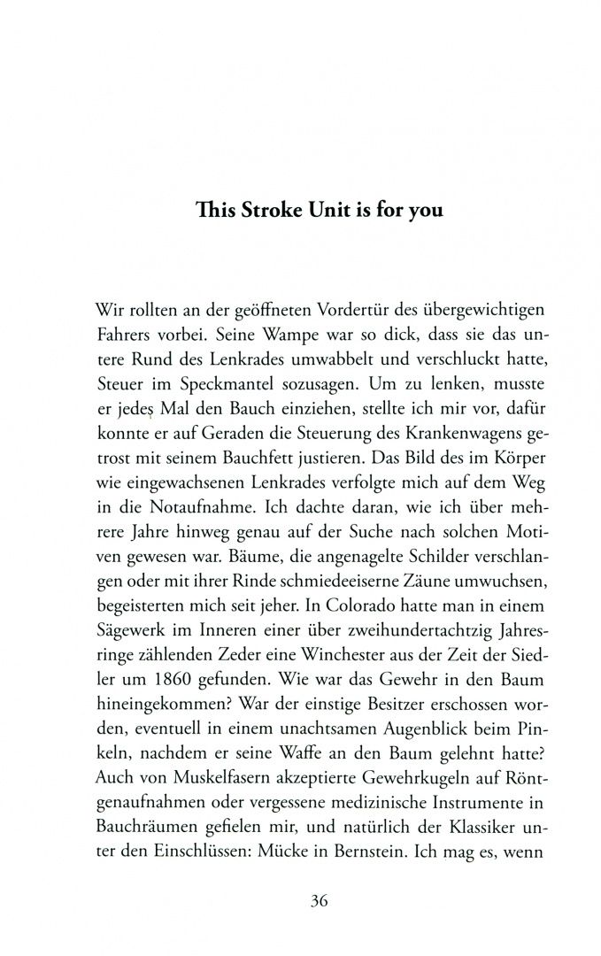 Joachim Meyerhoff: Hamster im hinteren Stromgebiet
