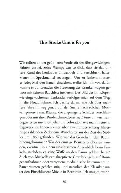 Joachim Meyerhoff: Hamster im hinteren Stromgebiet