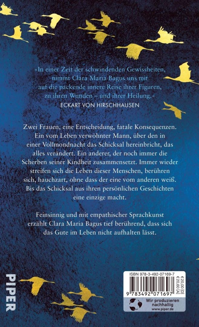 Clara Bagus: Der Klang von Licht. Vom Verschwinden und Sich-Finden