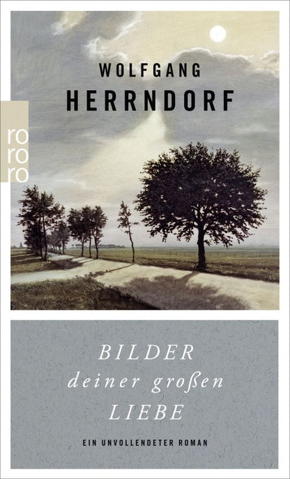 Wolfgang Herrndorf: Bilder deiner großen Liebe. Ein unvollendeter Roman