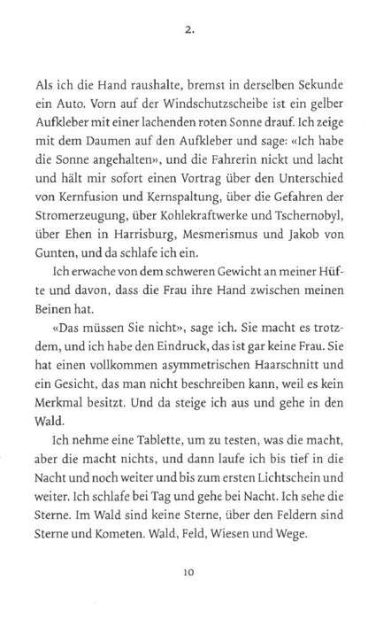 Wolfgang Herrndorf: Bilder deiner großen Liebe. Ein unvollendeter Roman