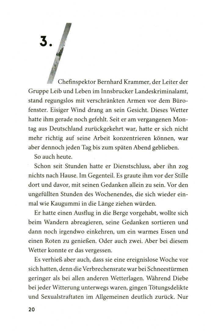 Anna Schneider: Grenzfall. Ihr Schrei in der Nacht