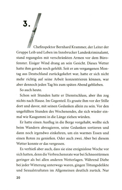 Anna Schneider: Grenzfall. Ihr Schrei in der Nacht