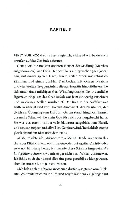 Kristina Pfister: Tage im warmen Licht