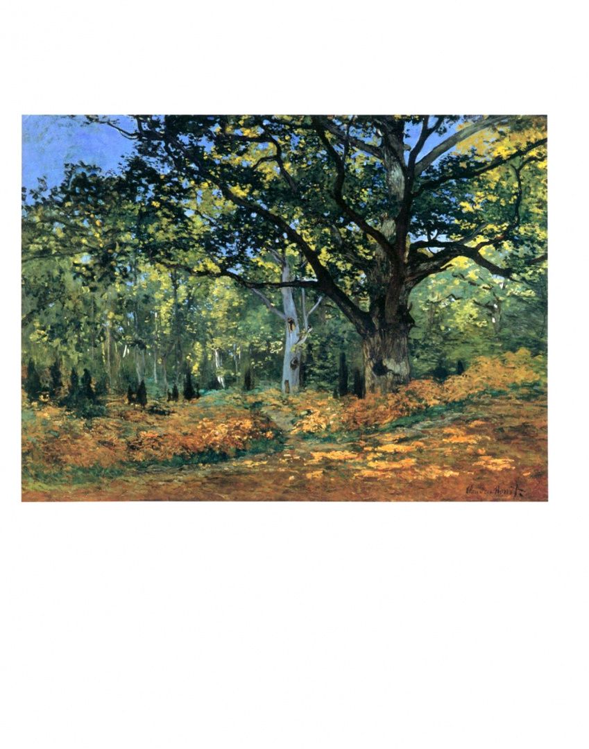 Simona Bartolena: Monet
