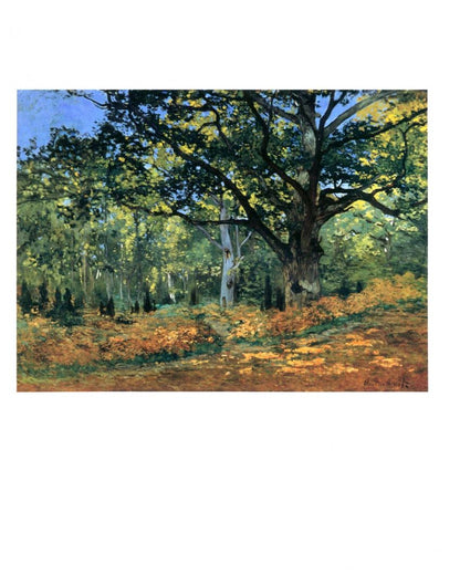 Simona Bartolena: Monet