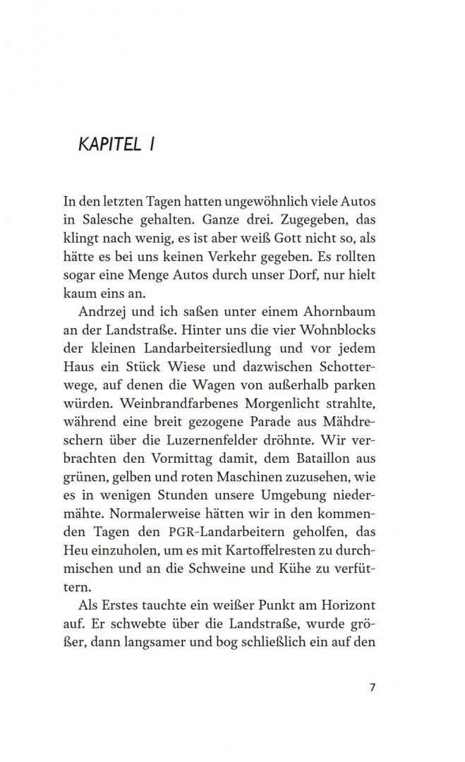 Mariusz Hoffmann: Polnischer Abgang