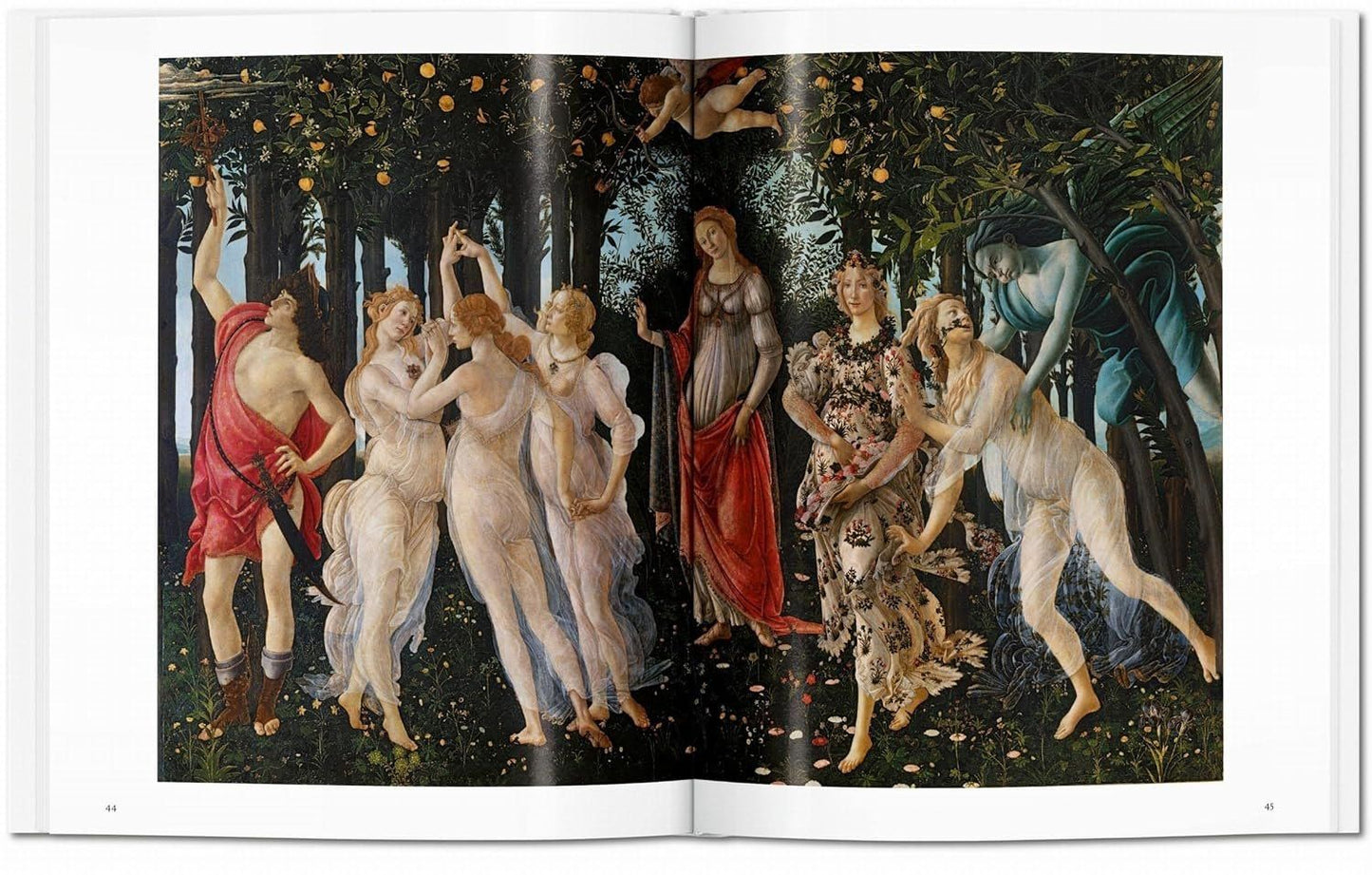 Барбара Деймлинг: Botticelli