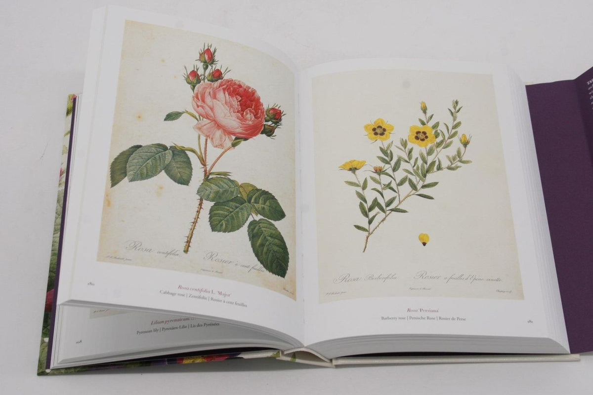 Pierre-Joseph Redoute: Redoute. Book of Flowers: 40th Anniversary Edition