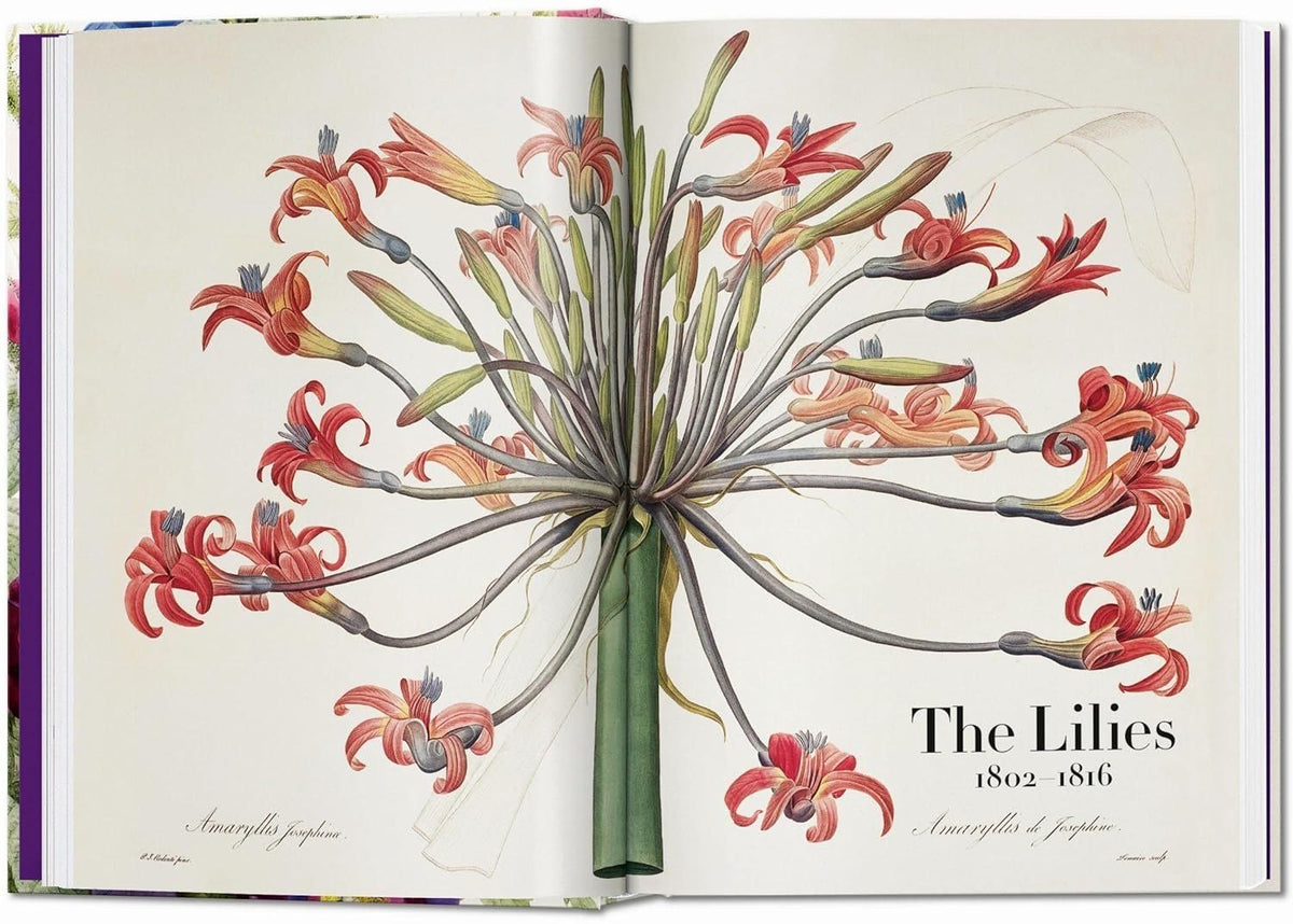 Redouté. Book of Flowers
