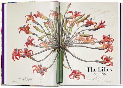 Redouté. Book of Flowers