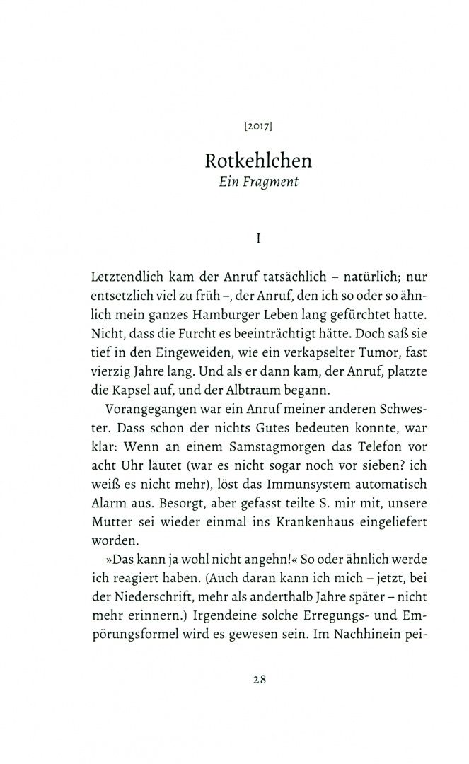 Frank Schulz: Anmut und Feigheit