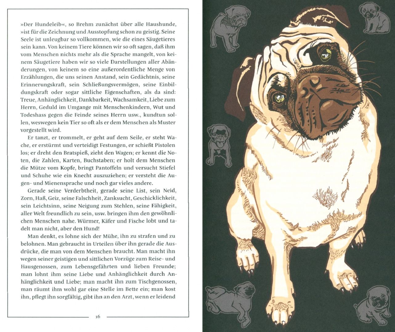 Mark Benecke: Kat Menschiks und des Diplom-Biologen Dr Rerum Medicinalium Mark Beneckes Illustrirtes Thierlebe
