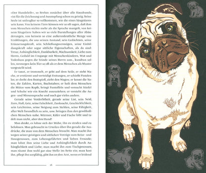 Mark Benecke: Kat Menschiks und des Diplom-Biologen Dr Rerum Medicinalium Mark Beneckes Illustrirtes Thierlebe
