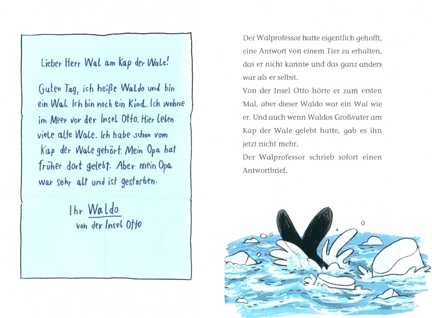 Йорг Мюле: Viele Grüße vom Kap der Wale