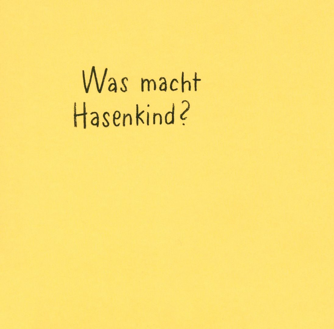 Jorg Muhle: Hasenkind, flieg!