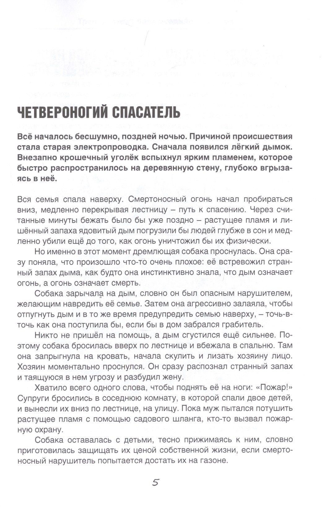 Тренировка собаки оповещению дыма
