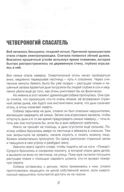 Тренировка собаки оповещению дыма