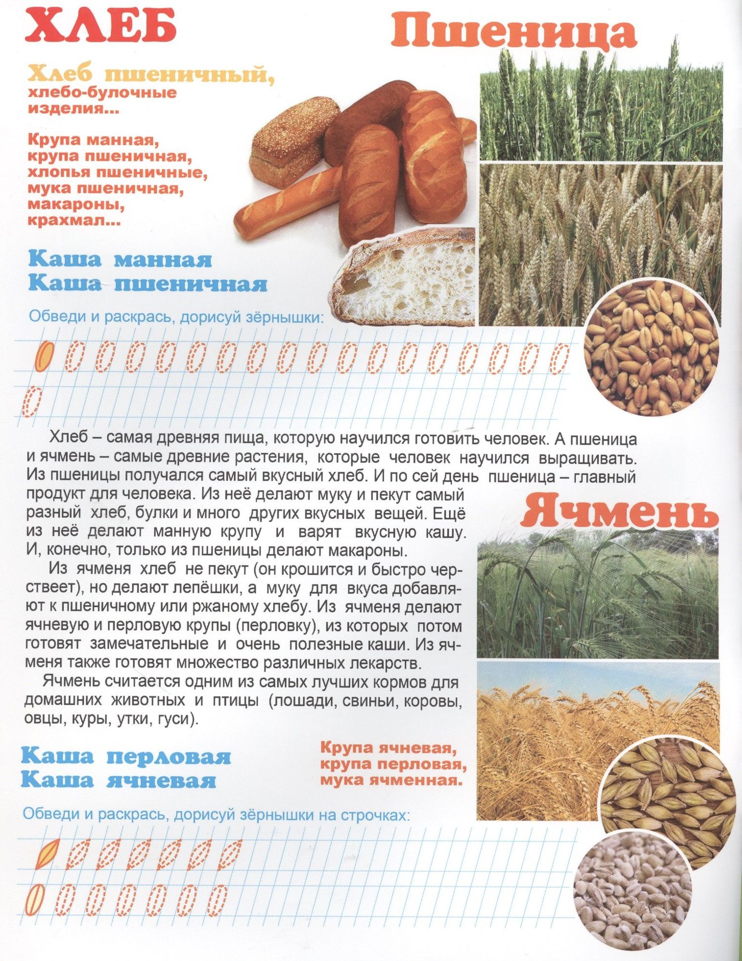 Что у нас на столе? Для детей 4-6 лет