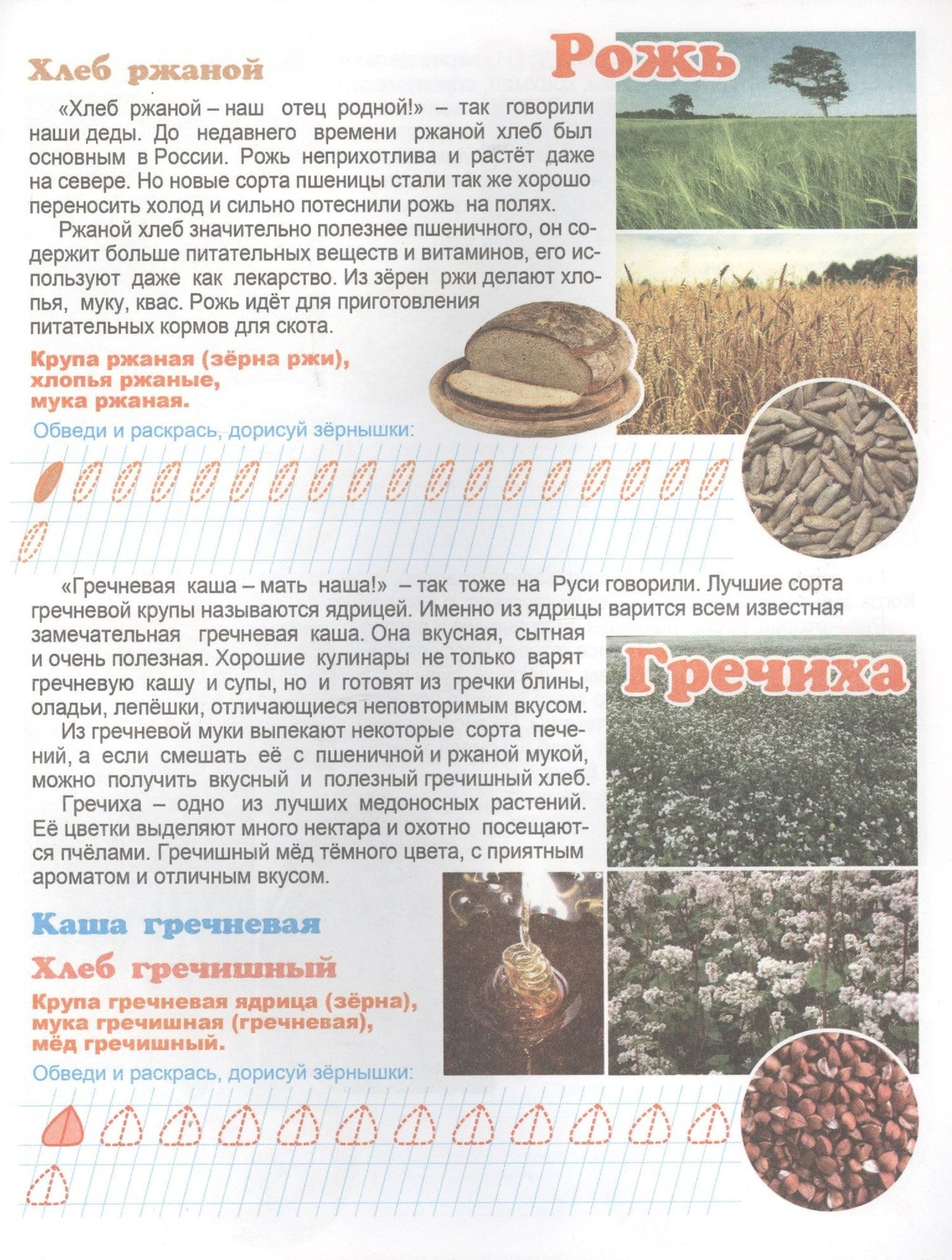 Что у нас на столе? Для детей 4-6 лет