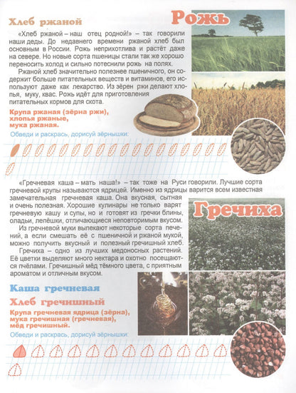 Что у нас на столе? Для детей 4-6 лет