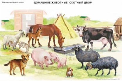 Сюжетные и предметные картинки для составления описательных рассказов Мир животных. Дидактический наглядно-демонстрационный материал
