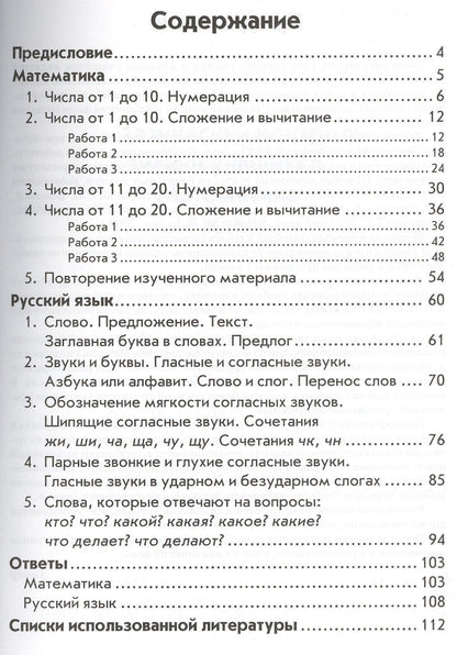 Валентина Голубь: Математика. Русский язык. 1 класс. Зачетная тетрадь. Тематический контроль знаний учащихся
