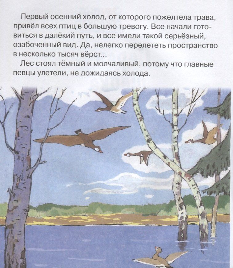 Дмитрий Мамин-Сибиряк: Серая шейка. Мультсказка