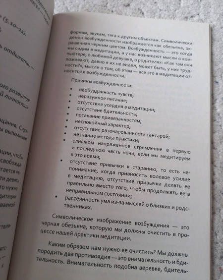 Вишнудевананда Свами: Практика медитации: о расплывании и возбужденности