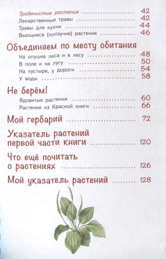 Ольга Азгальдова: Лето на память. Моя первая коллекция растений