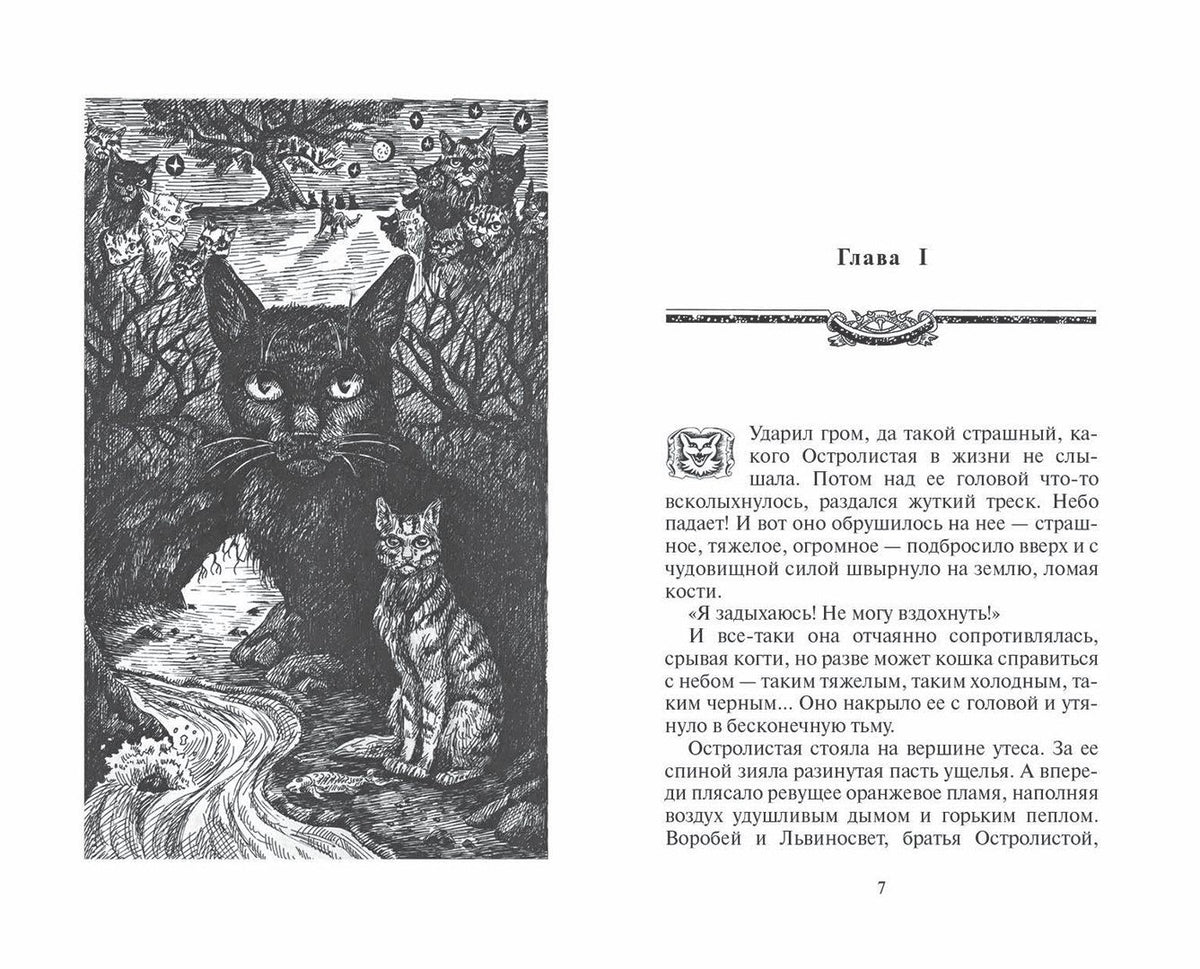 Эрин Хантер: Нерассказанные истории. История Остролистой. Сборник