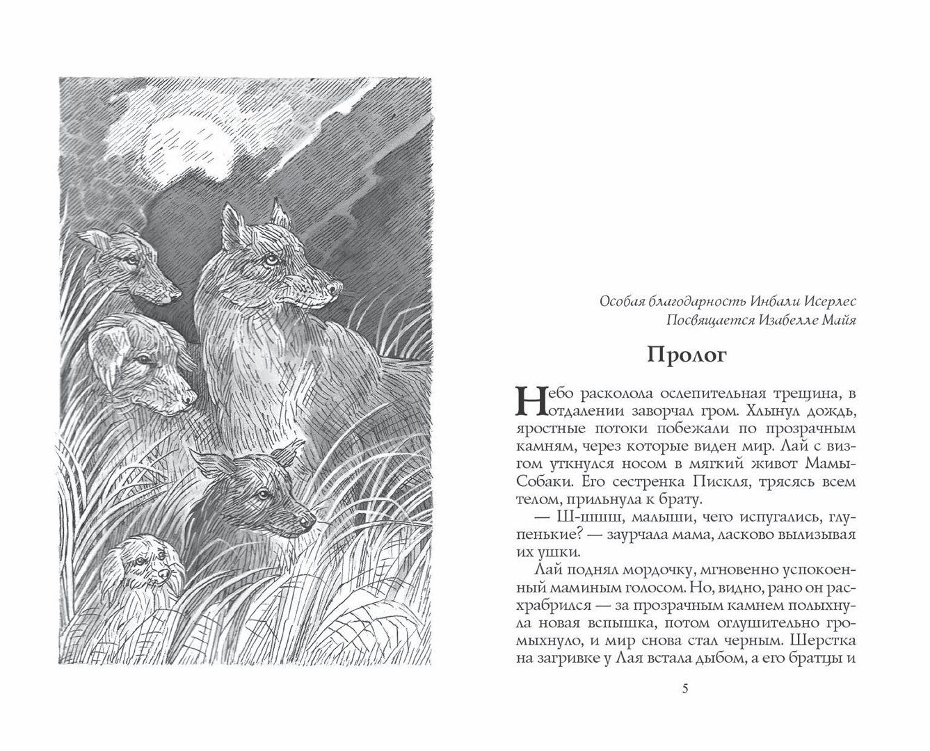 Эрин Хантер: Тьма наступает