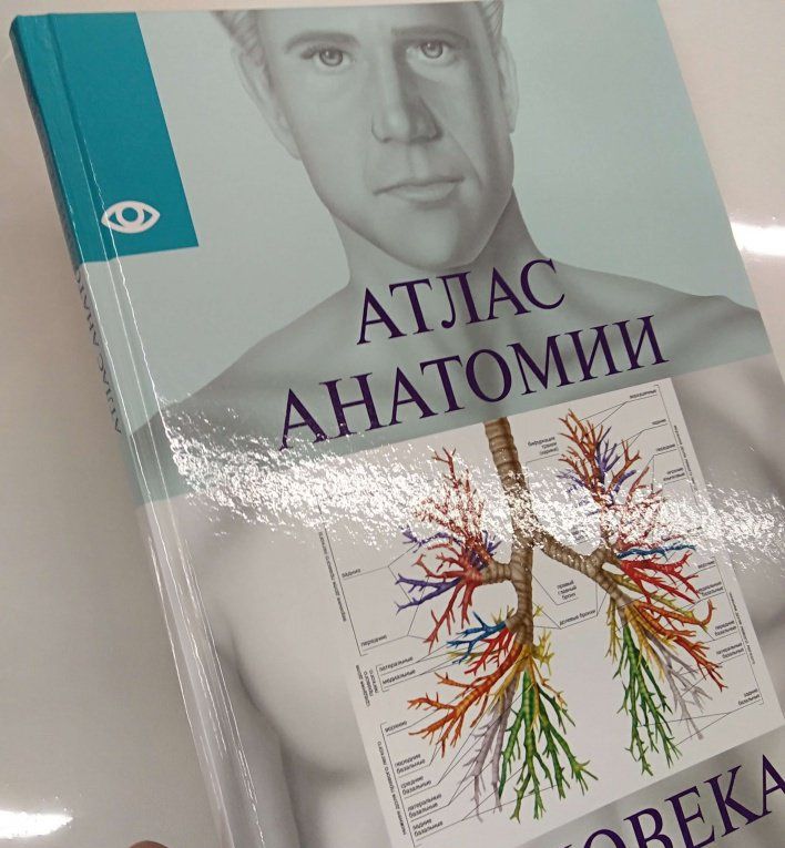 Атлас анатомии человека