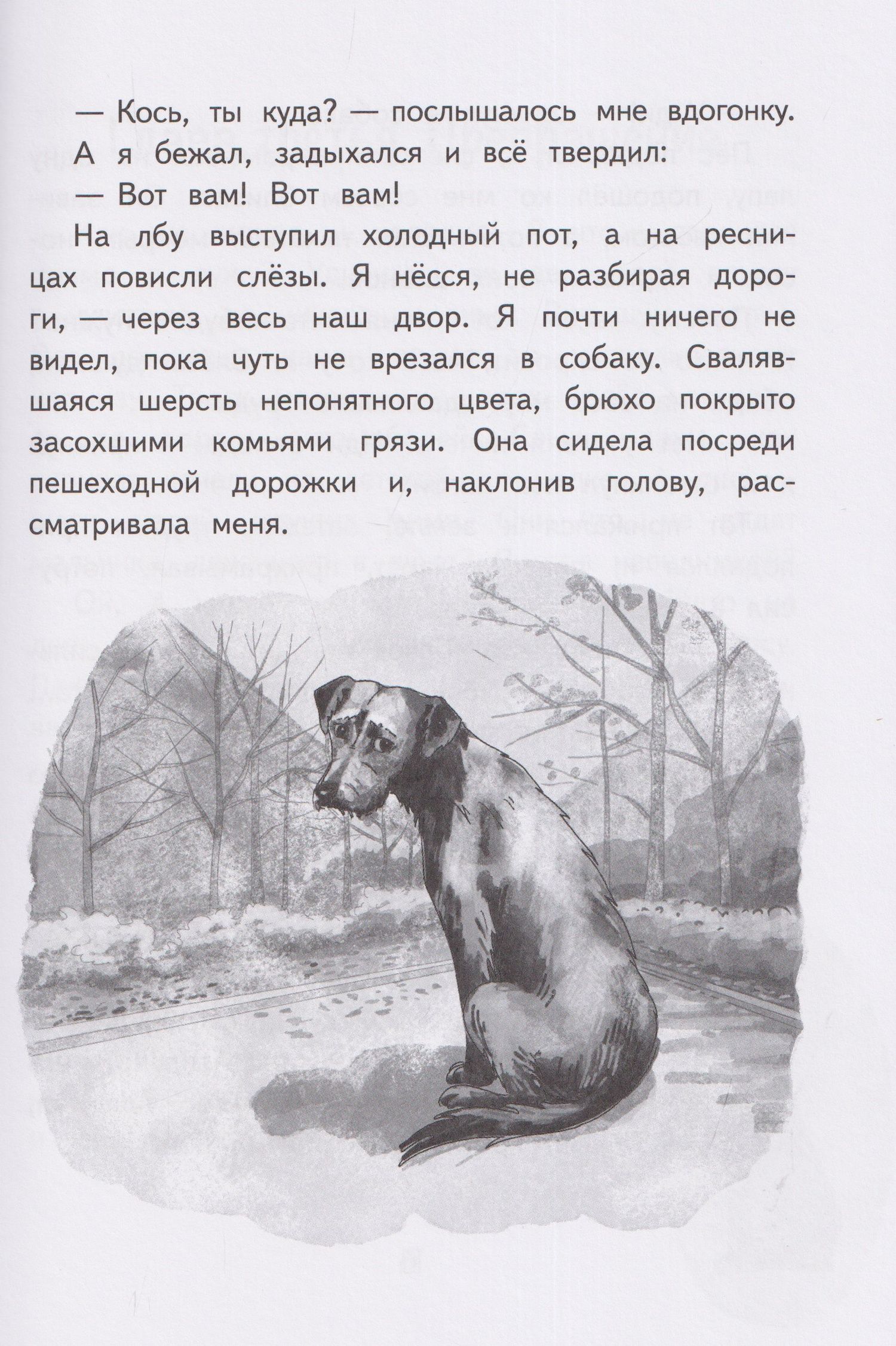 Майя Костюк: Пёс в шкафу, или История одного превращения