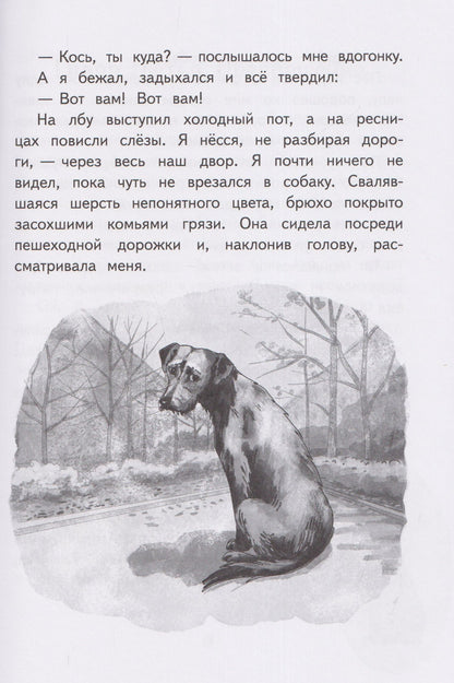 Майя Костюк: Пёс в шкафу, или История одного превращения