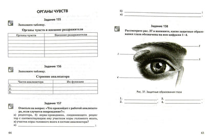 Николай Богданов: Биология. Человек и его здоровье. 9 класс. Рабочая тетрадь. В 2-х частях. Часть 2