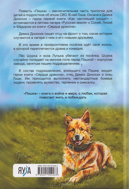 Дмитрий Артис: Пэшка