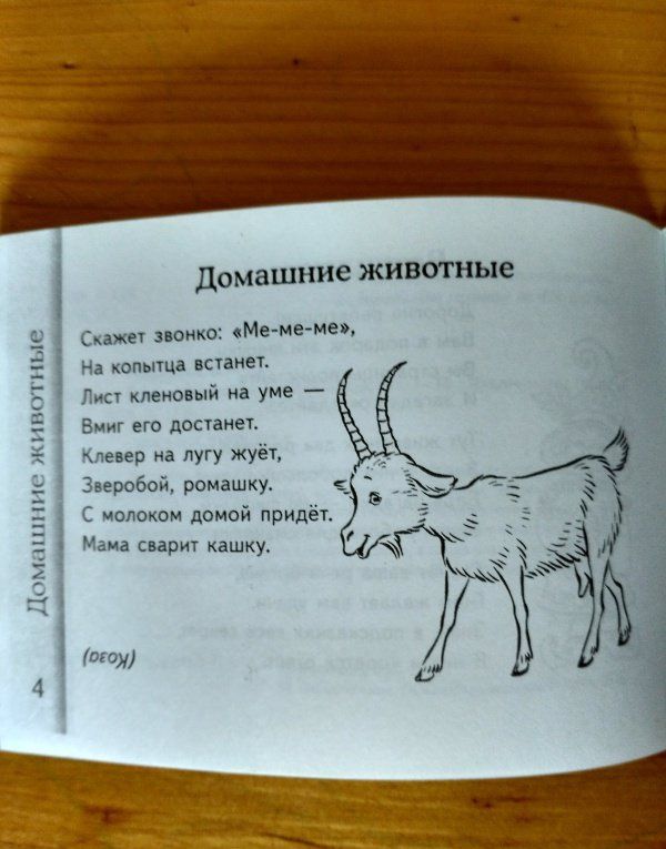 Валентина Мирясова: Загадки о животных