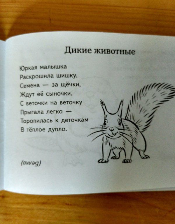 Валентина Мирясова: Загадки о животных
