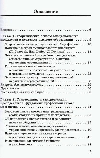Екатерина Шишлова: Эмоциональный интеллект в профессиональной коммуникации преподавателя вуза: от монолога к диалогу. Учебное пособие