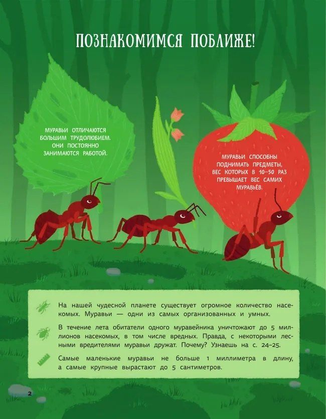 Дарья Губина: Муравьи против божьих коровок. Божьи коровки против муравьёв. Книжка-перевёртыш
