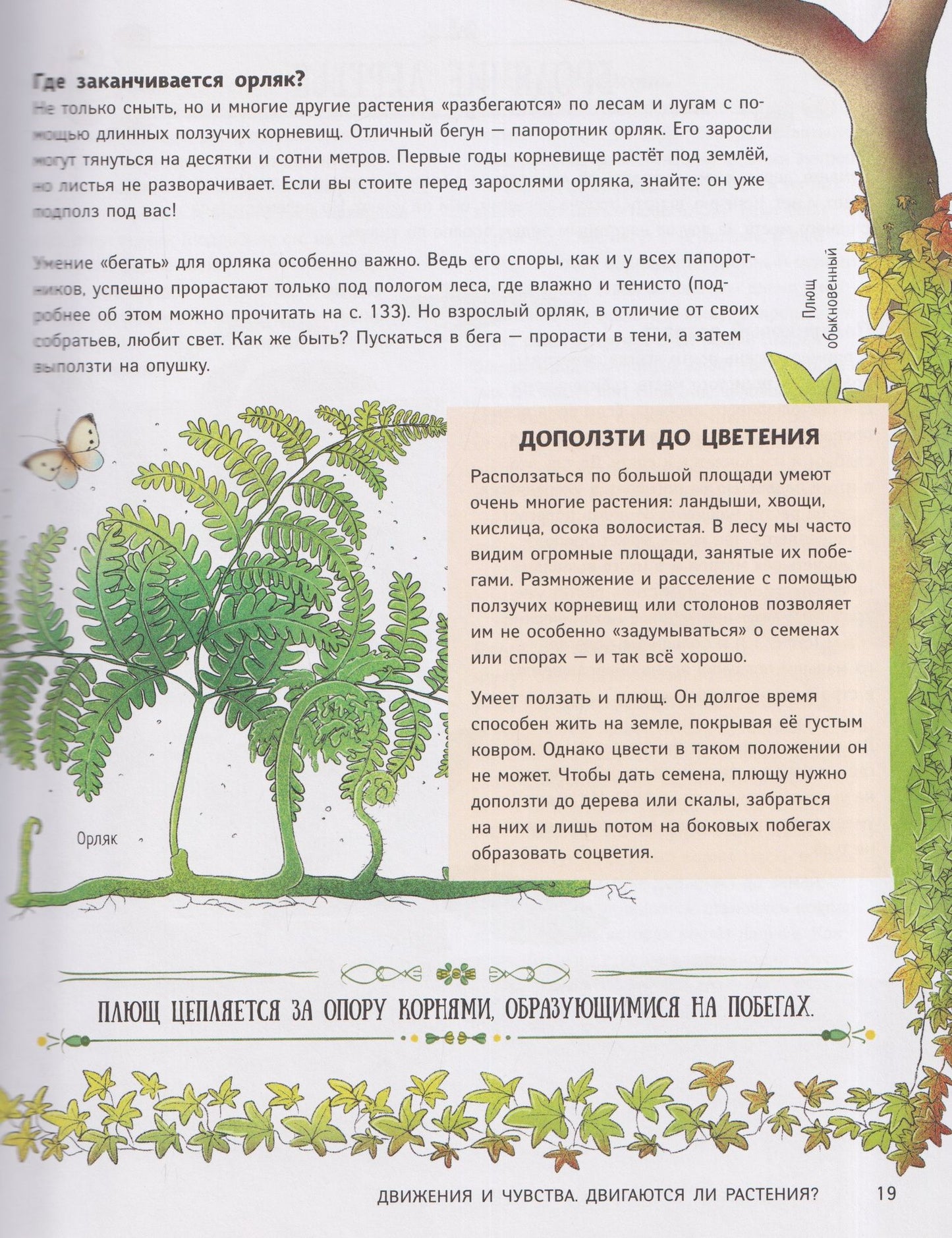 Петр Волцит: Поведение растений