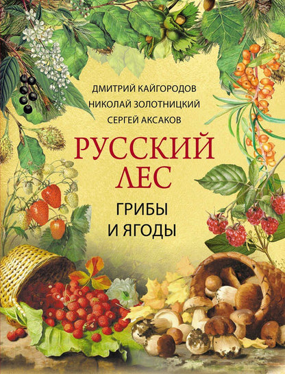 Русский лес. Грибы и ягоды