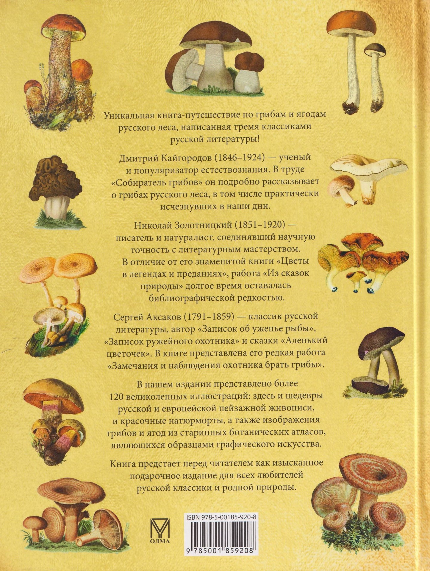 Русский лес. Грибы и ягоды