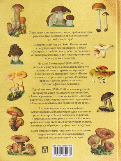 Русский лес. Грибы и ягоды
