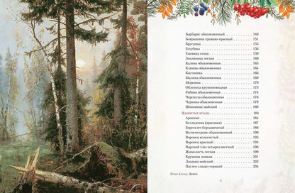 Русский лес. Грибы и ягоды