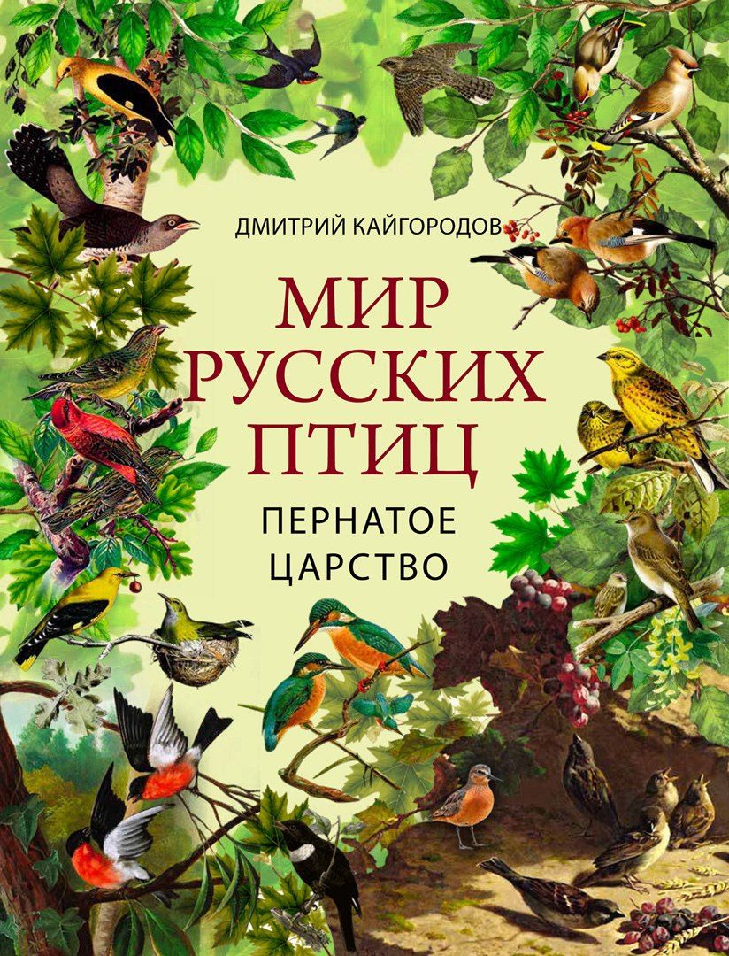 Дмитрий Кайгородов: Мир русских птиц. Пернатое царство