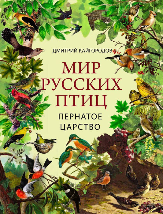 Дмитрий Кайгородов: Мир русских птиц. Пернатое царство