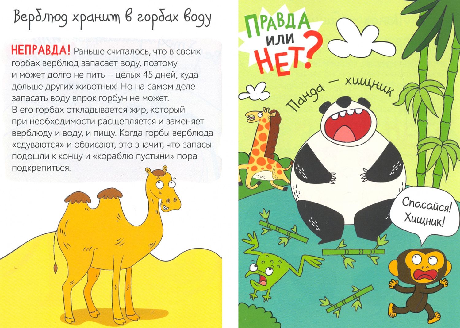 Ю. Соколова: Правда или нет? Мир животных