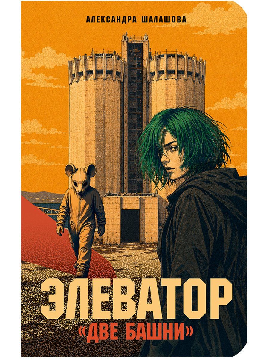 Александра Шалашова: Элеватор «Две башни»
